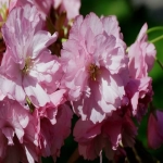 办理营业执照需要花多少钱