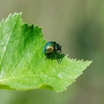 FaceBook广告对电商的机遇