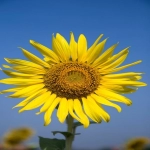 亚马逊追踪编码是几位数?