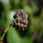 零门槛个人入驻的电商购物平台