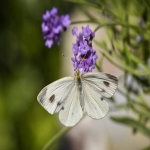 深入TechBargain：探索科技产品的折扣天堂