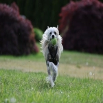 亚马逊产品开发方法有哪些？