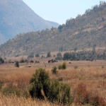 大和运输相比于日本其他物流有什么优势