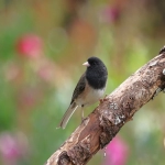 外贸业务员的工作内容