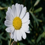 品牌与产品的区别