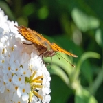 亚马逊网址amz123