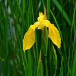 如何正确处理亚马逊取消订单问题？