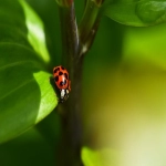 哪里有批发儿童玩具