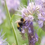 4kmile:跨境电商的新机遇