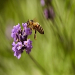 如何开通谷歌竞价账号?