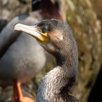 关于乾坤云,你了解多少?