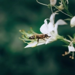 如何开国际物流公司？