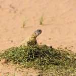 银联国际有限公司