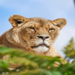 第三方支付平台十大品牌榜