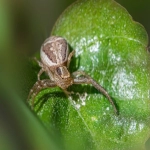 今日头条广告价格表