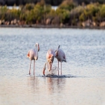 亚马逊测评怎么做折扣