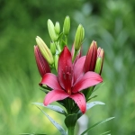 跨境电商系统开发的流程和要素是什么?