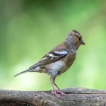 1688怎么一件代发