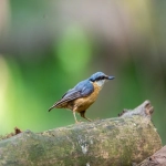 亚马逊请求评论