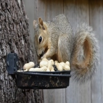 网站谷歌seo优化的技巧