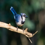 如何投放Snapchat广告？