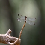 如何设置和优化Bing必应广告