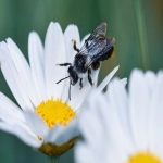 Forter：守护网络安全的先锋