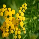 如何用ChatGPT跨境选品？