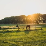 亚马逊怎么合并Listing