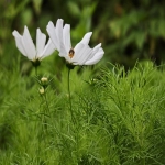 独立站建站需要多少钱_2