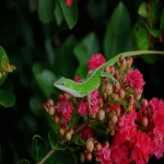 亚马逊平台后台，需产出内容篇幅与原句相近。