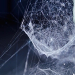 Ebay账号关联怎么办？如何防关联