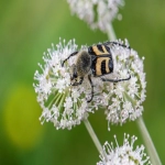 亚马逊注册店铺