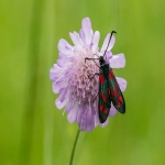 美国海外仓有哪些