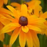 IDEALO：跨境卖家必知的产品推广利器