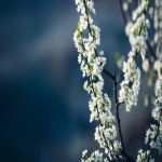 TikTok无网络连接:电商推广的新机遇