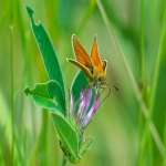 跨境电商收款平台选择与比较