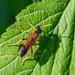 跨境电商支付存在的问题