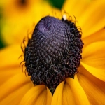 shopify如何注册开店