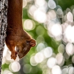 美国tiktok怎么开户