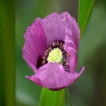 外贸建站用什么好