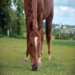 亚马逊招商经理哪里找