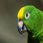 亚马逊退货问题