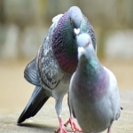 市场分析从哪几个方面