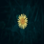 全品类供应链平台有哪些-