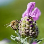 一类电商和二类电商的区别