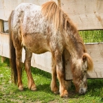 亚马逊新品如何推广