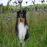 电商一键上货软件