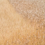 怎样推广谷歌代运营公司