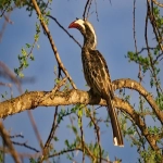 谷歌代运营一个月多少钱？